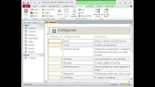 ONE MINUTE VIDEO SERIES : HOW TO ADD A REPORT IN MS ACCESS.