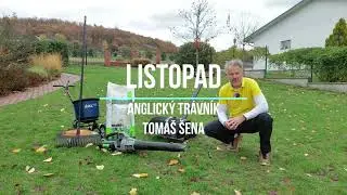 Listopad - anglický trávník | ŠENA