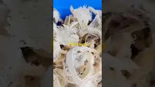 yummy soup