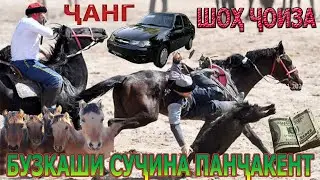 Чанг дар Бузкаши дехаи Сучина ш. панчакент