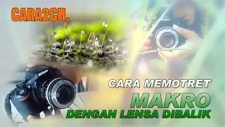 Cara2Ch Cara Memotret Makro dengan lensa dibalik cara 2ch 