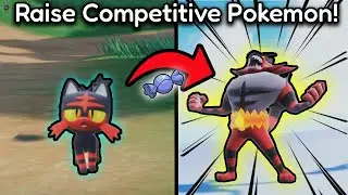The Complete Beginner's Guide To Raising A Competitive Pokemon (SV)