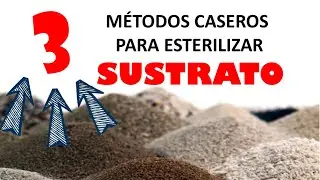 3 MÉTODOS CASEROS PARA ESTERILIZAR SUSTRATOS (Entomología)