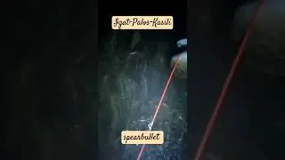 night hunting #eelfishing #thankyouLord #fishing #viralshorts #ytviralvideo