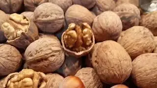 Грецкий орех Иван Багряный характеристики и описание. Видео, Фото. Walnuts Broker