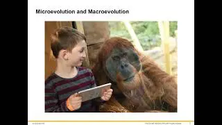 Constant Alleles, Microevolution