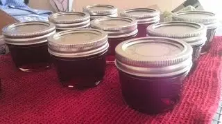 How to Make Homemade Crabapple Jelly
