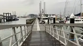 Diving in Singapore