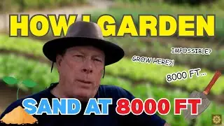 Gardening in Sand at 8000 Feet