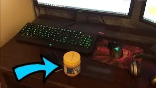 abusing peanut butter