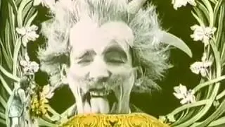 Silent Film - Les Tulipes
