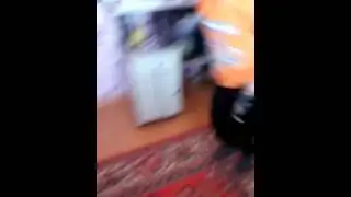 Максим и ракушки