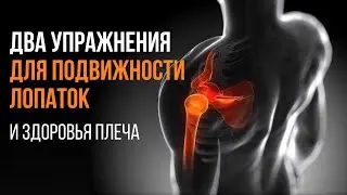 ДВА УПРАЖНЕНИЯ ДЛЯ ПОДВИЖНОСТИ ЛОПАТОК и здоровья плеча