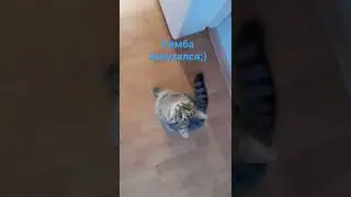 Он запутался 