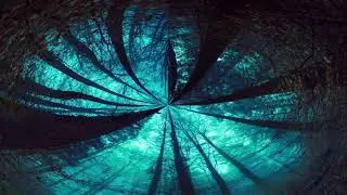 The Intangible-