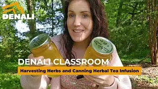Never Buy Tea Again: Harvesting and Canning Herbal Infusions at Home!