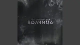 Волчица