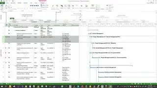 Microsoft Project Terminology