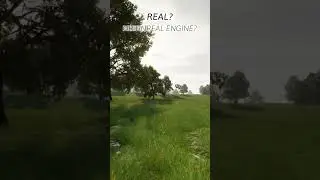 Real or Unreal Engine? #shorts