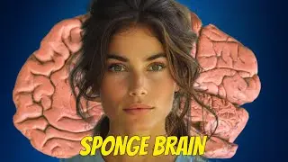 Prions: Zombie Proteins that Eat Brains.