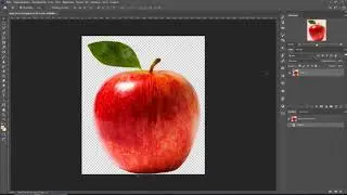 Клонирование и трансформирование Фотошоп