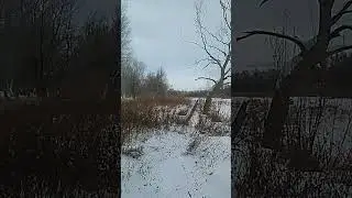 Как же хочется домик в лесу