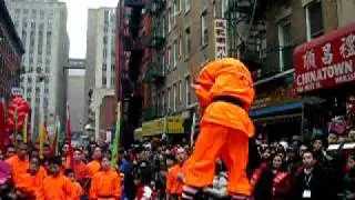 Shaolin Groundshattering Staff Form
