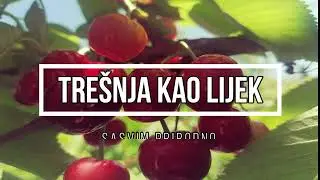 tresnja-Čajevi  protiv srčanih smetnji,bubrežnih kamenaca,mokraćnih smetnji, fizičke iscrpljenosti
