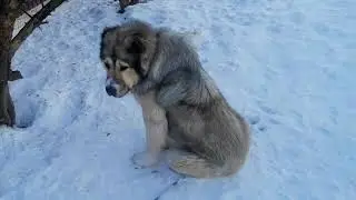 Чем заняться зимой?