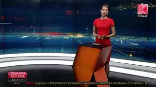 FoxUa на митинге /pet fox/ hutroof