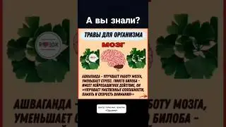 Вы обязаны знать это👆     
