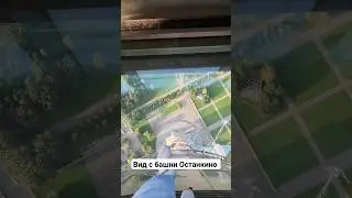 Вид с башни Останкино