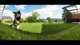Dahua Panoramic camera