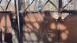 Новости СПбГУ: Универсанты реставрируют беседку из фильма 