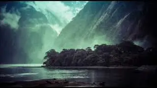 Kill Paris - Tender Love