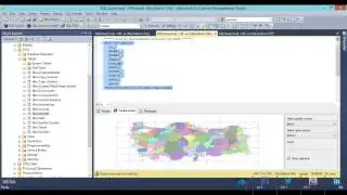 Reporting Services - How to create Map Spatial Query (tr)