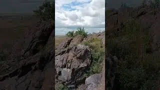 Степные просторы!