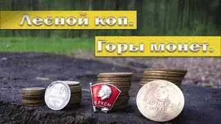 Лесной коп. Горы монет.