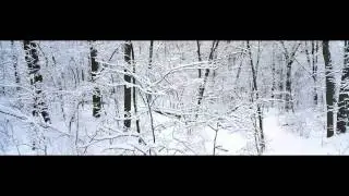 Любовь не ищет своего - Дмитрий Шлетгауэр.mp4