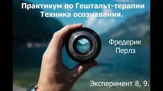 Практикум по гештальт-терапии.