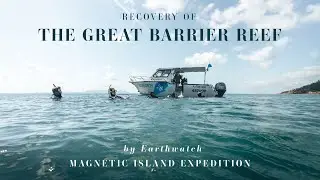 Recovery of the Great Barrier Reef | Conservation Documentary (Earthwatch & JCU)