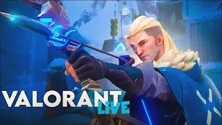 Reaver Vandal | Valorant Live