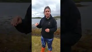 Natural Methods: Marine Environment