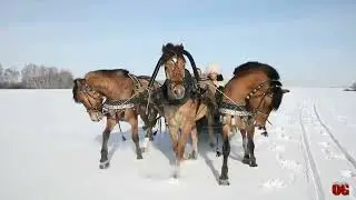 Поёт Евгений Южин