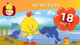 לולי מכיר חיות ימיות - מושגים ראשונים - ערוץ לולי