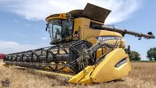 GROS Chantier de Moisson de Blé en FRANCE : New Holland CR10.90