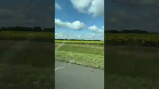 21 июля 2023 г.