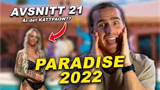 REAGERAR PÅ NYA PARADISE 2022 *ÄR DET KATTPAOW??*