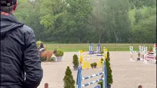 HOLLY MAIL (BALOUBAR MAIL x SHEENA MAIL) - MERE DE LOLITA MAIL