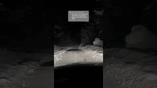 Code 619 Cornering light function